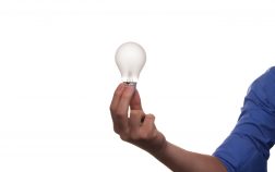 bulb-business-conceptual-256307